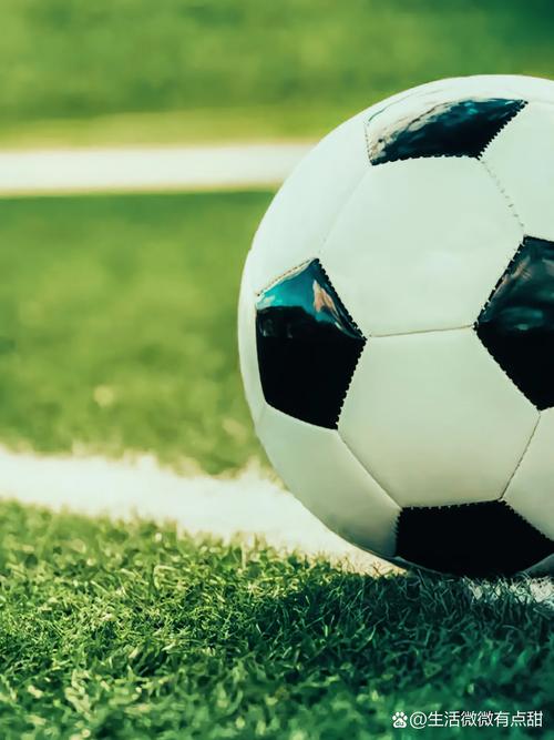 足球教练王先生使用数据分析功能